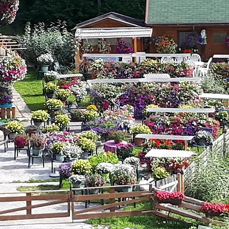 شقة Planaiblick *