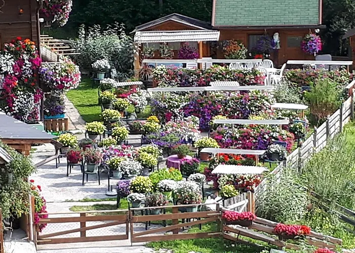 公寓 Planaiblick *